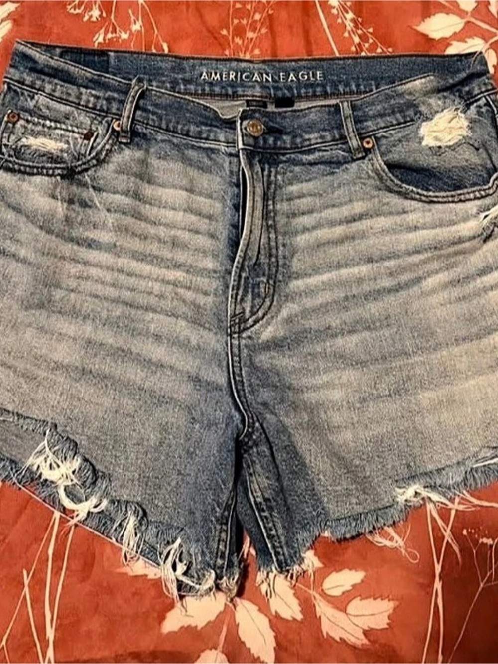 American Eagle Denim Jean Shorts Blue Size 14